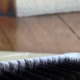 The Best Eyelash Extension Trays for Professionals in 2025