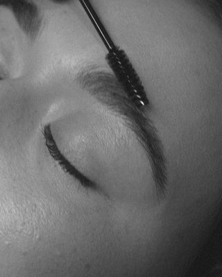 Beginner Brow Lamination + Tint Certification